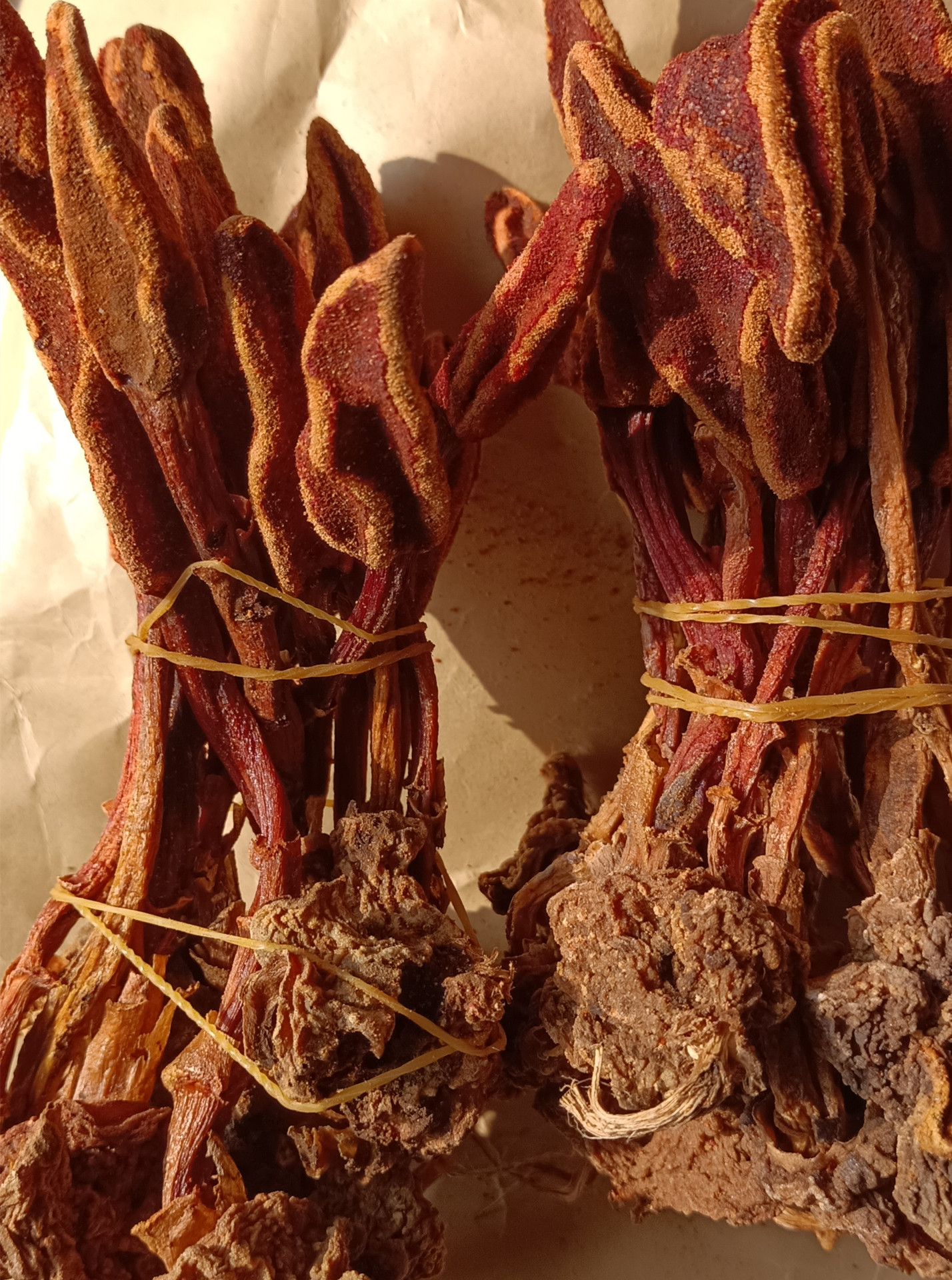 云南回春草 中药材草苁蓉整颗无碎不老草顶天柱泡酒料 回春草干货