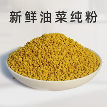 散装批发青海油菜蜂花粉 量大价格优 签订蜂农合同的厂家资质全。