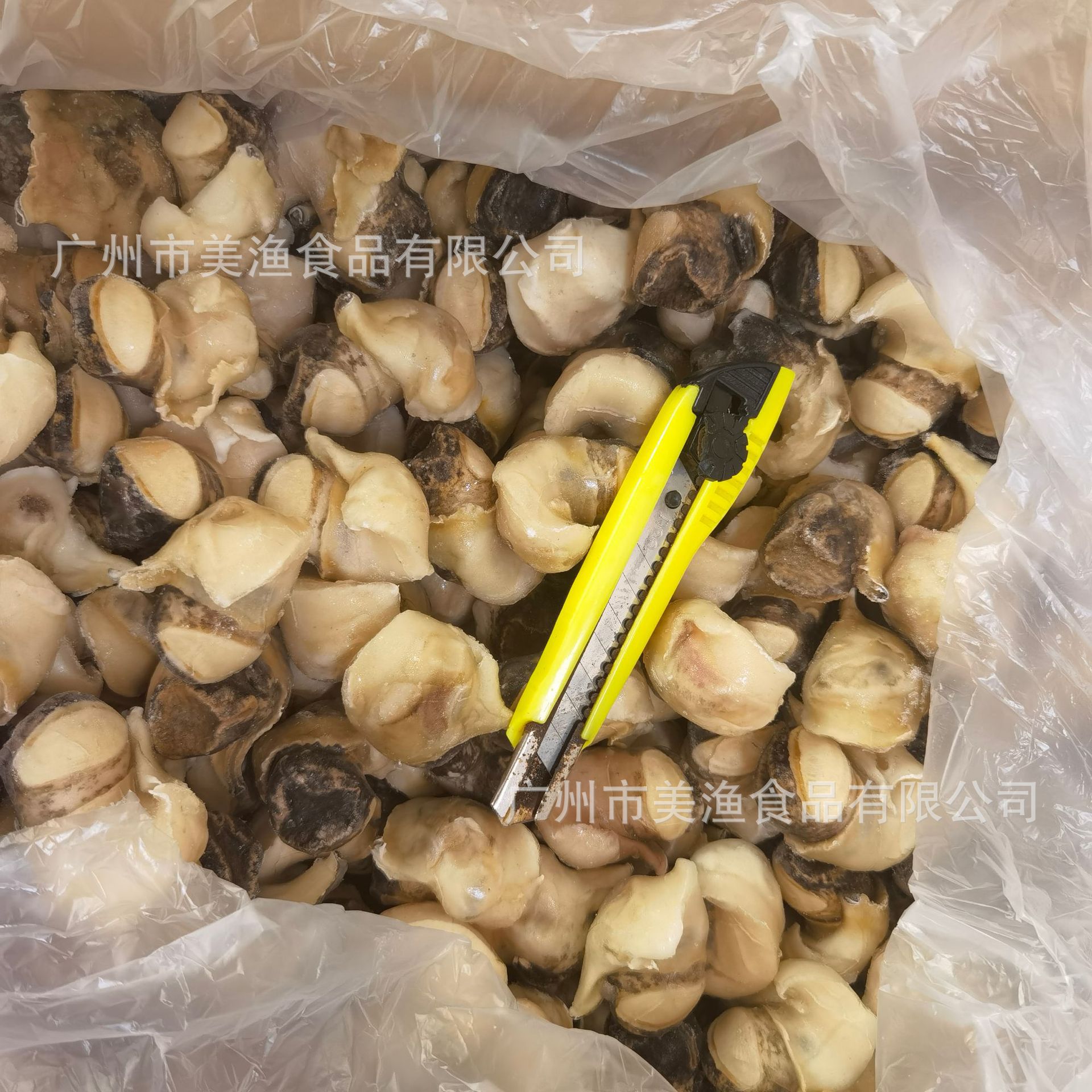 m码单冻螺肉香螺肉海螺肉沙螺肉现剥海鲜海螺头响螺头 按称重发货