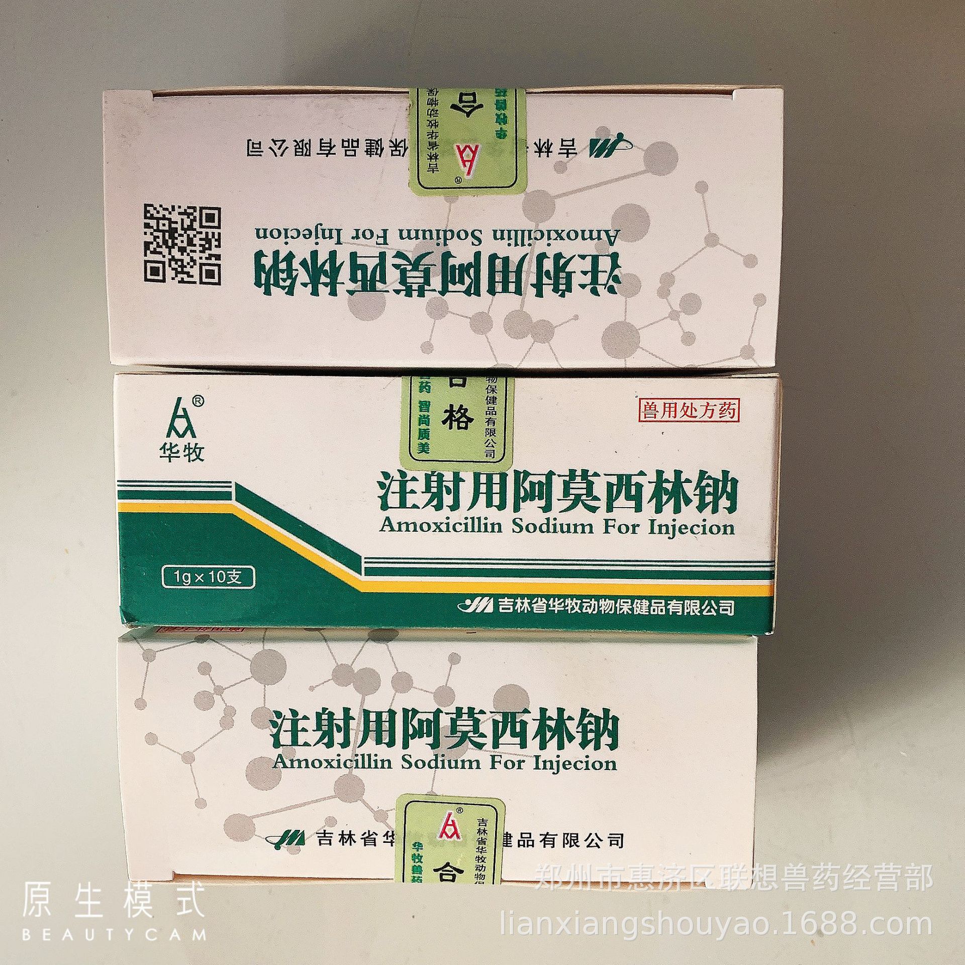注射液阿莫西林钠 1g/瓶 10瓶/盒