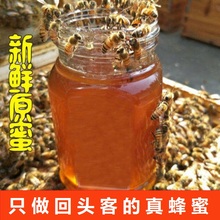 包邮蜂蜜天然农家自产百花蜜结晶土蜂蜜枣花蜜老山洋槐蜜
