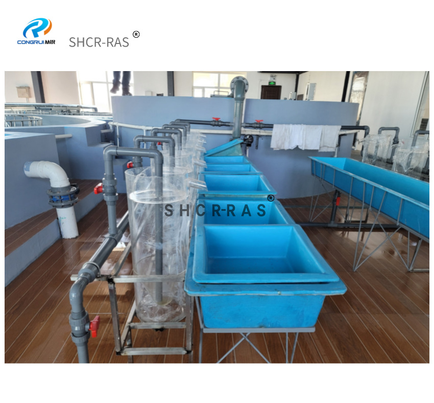 工厂化循环水鱼卵孵化器pp鱼卵孵化桶鲈鱼鳜鱼孵化器石斑鱼孵化