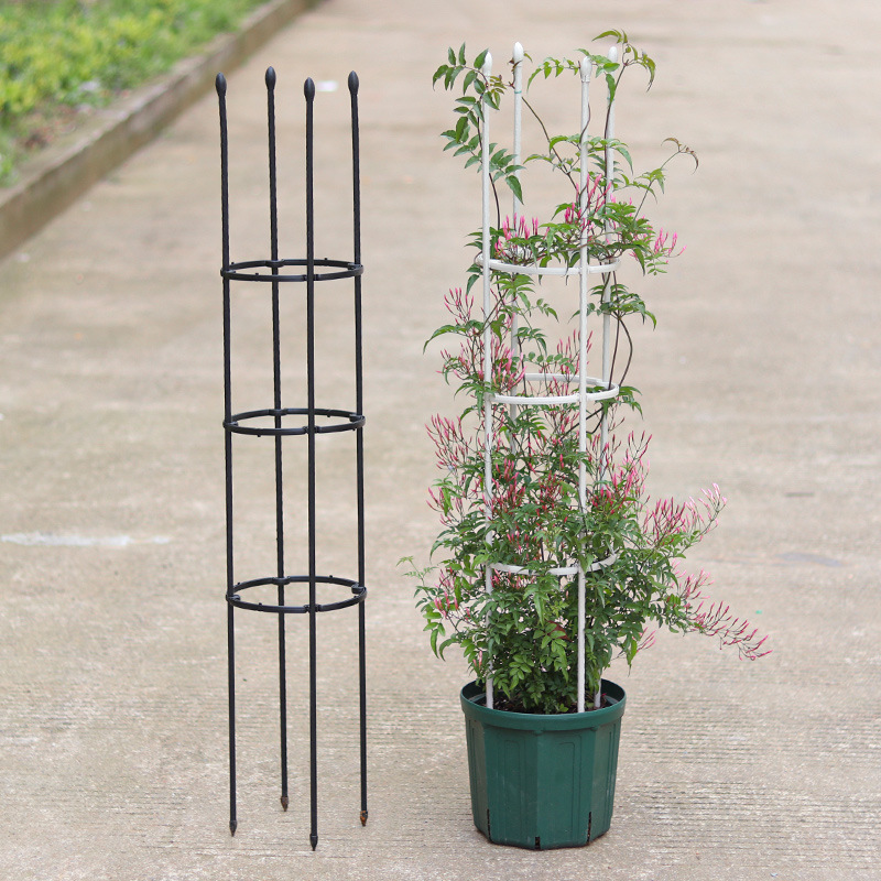 植物爬藤架铁线莲蔷薇月季攀爬组合花架园艺爬藤花支架阳台支撑架