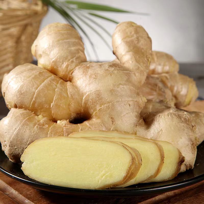 02/1/2/3/5斤独立站