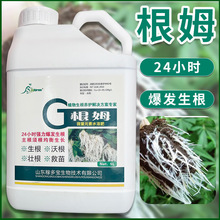 根姆微量元素水溶肥料蔬菜水果树木作物快速生根壮苗促生长冲施肥