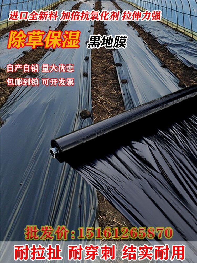 农用防草种植地膜塑料薄膜保湿加厚黑除草大棚果树种地保温抗老化