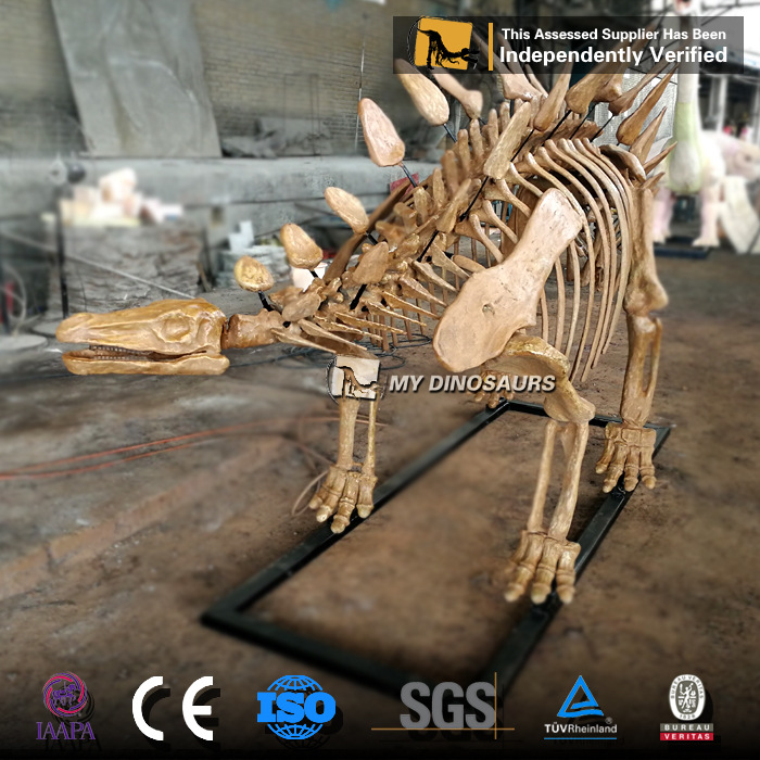 侏罗纪世界仿真恐龙骨架化石模型 剑龙大型骨骼 景区餐厅橱窗装饰