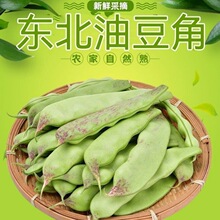 东北油豆角新鲜蔬菜一点红大宽面豆角开锅烂九月青食用辽宁5