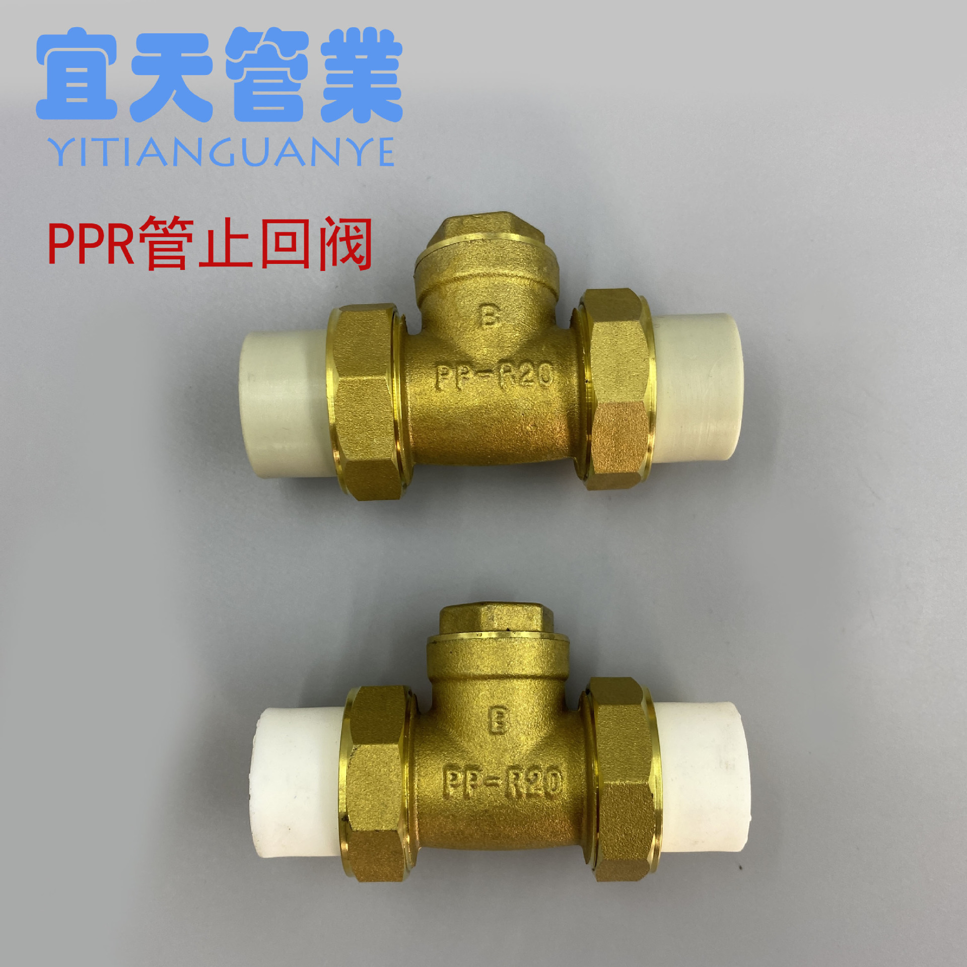 ppr双活接卧式黄铜止回阀活接铜止水阀逆止阀水管双热熔单向阀ppr