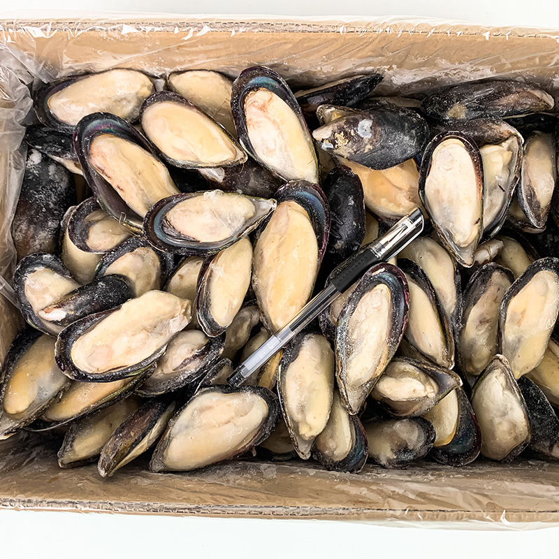 半壳蓝口贝黑口贝新鲜冷冻贻贝淡菜海虹海鲜烧烤整箱8斤饭店商用