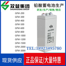 双登电池江苏GFM2V200/300/500/800/1000/1500AH 通信电信蓄电池