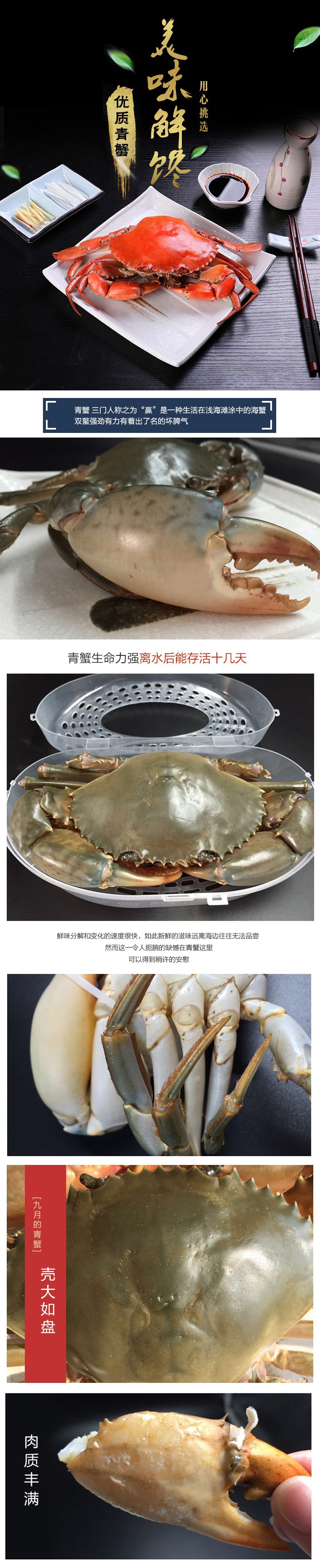 三门青蟹鲜活特大公蟹肉蟹处子蟹海蟹母螃蟹菜鲟海鲜礼盒无绳
