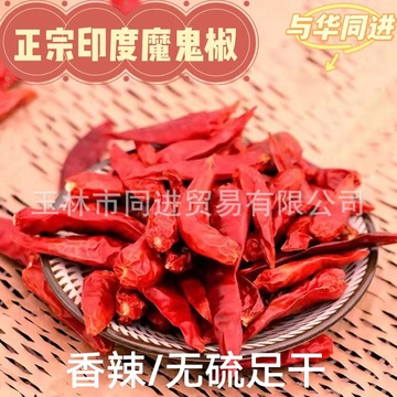 印度魔鬼辣变态辣椒干货500g干辣椒超小米辣特辣中粗红辣椒魔鬼辣