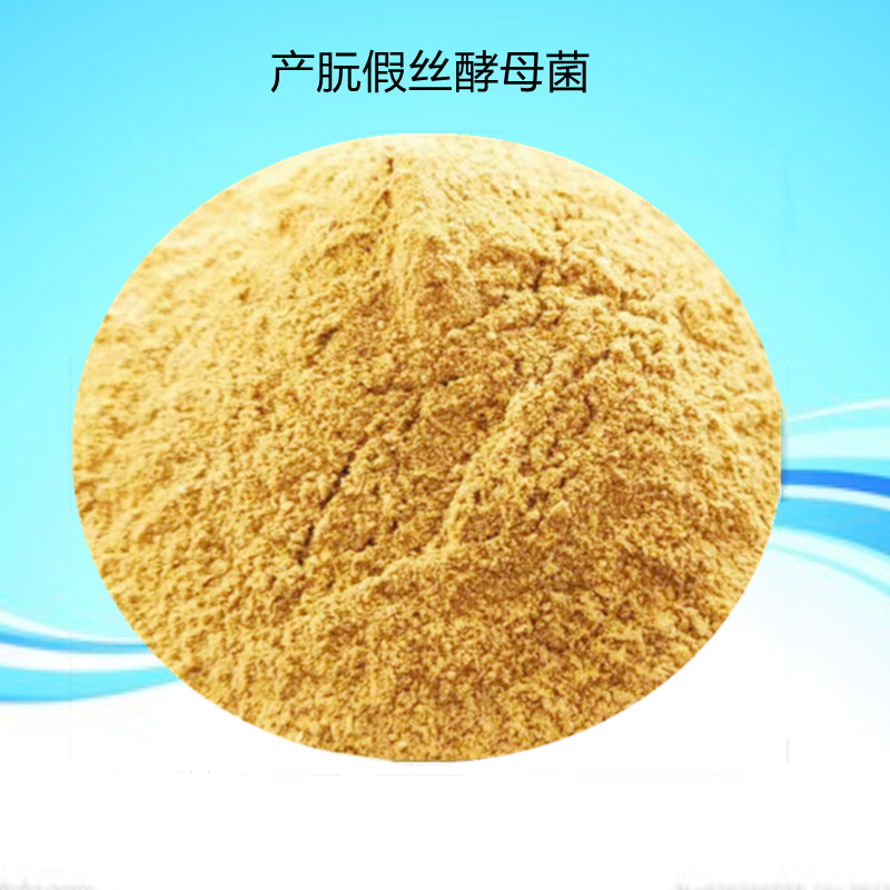 产朊假丝酵母菌 补充蛋白 维生素 微生物菌种 厂家供应-阿里巴巴