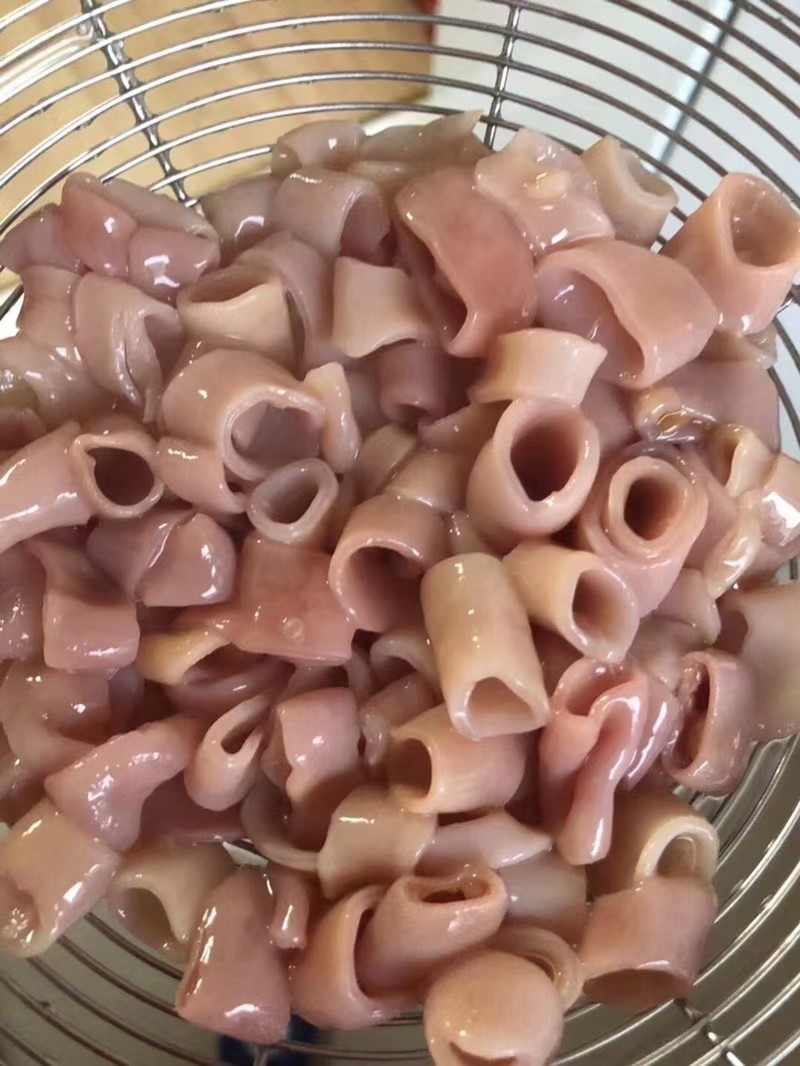 批发新鲜冷冻去脏海肠皮 青岛本地海鲜莱州海肠 酒店烧烤食材