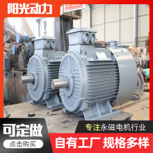 风力水力发电机1kw1.5kw2kw2.5kw三相交流同步电机直驱永磁发电机