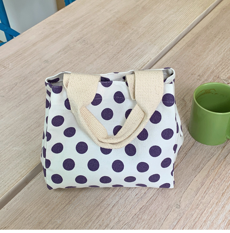 Spring and Summer New Gentle Good-looking Cosmetic Bag Work Good-looking Small Carrying Bag Japanese and Korean Students Lunch Box Handbag for Women