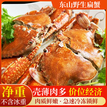 东山岛海蟹扁蟹肉蟹清蒸梭子蟹鲜活螃蟹活冻大肉蟹餐饮海鲜水产