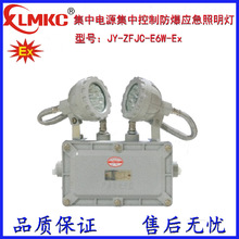 浙江新黎明环保LM-ZFZC-E15W集中电源集中控制型消防应急照明灯具
