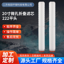 折叠滤芯厂 20寸微孔折叠滤芯精密过滤精细化工医疗222平头过滤芯