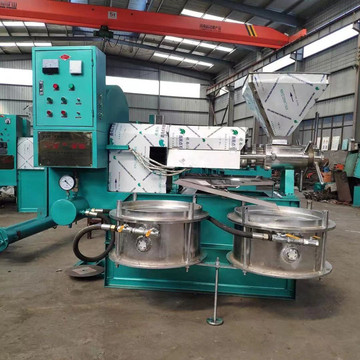 大中型螺旋式榨油机辣椒籽核桃花生胡麻棉籽茶籽压榨滤油一体机器