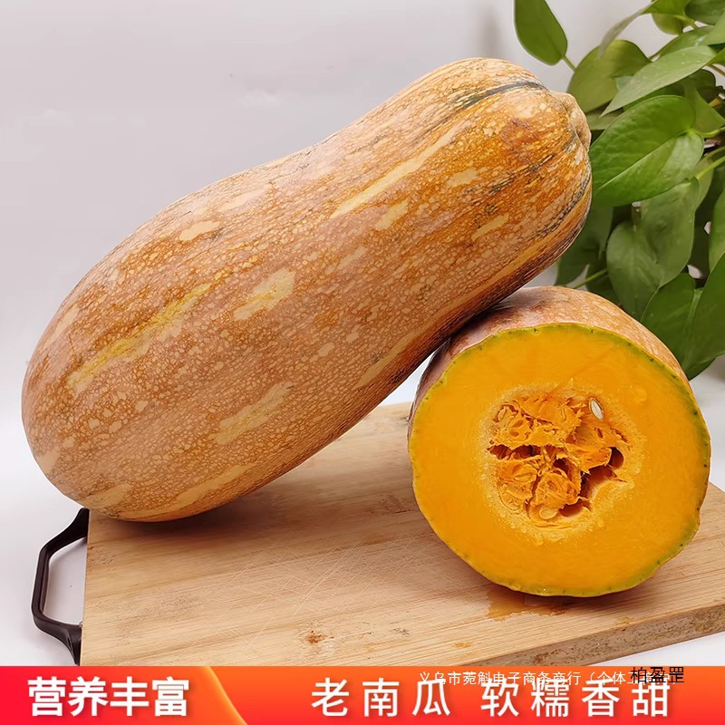 重庆新鲜板栗牛奶老南瓜5