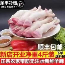 羊蹄新鲜4斤清真冷冻商用羊肉非熟食羊头整只生爪子蹄子鲜羊脚蹄