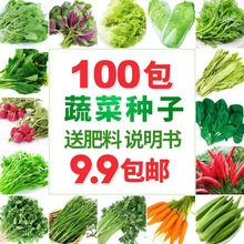四季播易种蔬菜种子套餐阳台菜园鸡毛菜生菜菠菜小葱黄瓜韭菜种籽