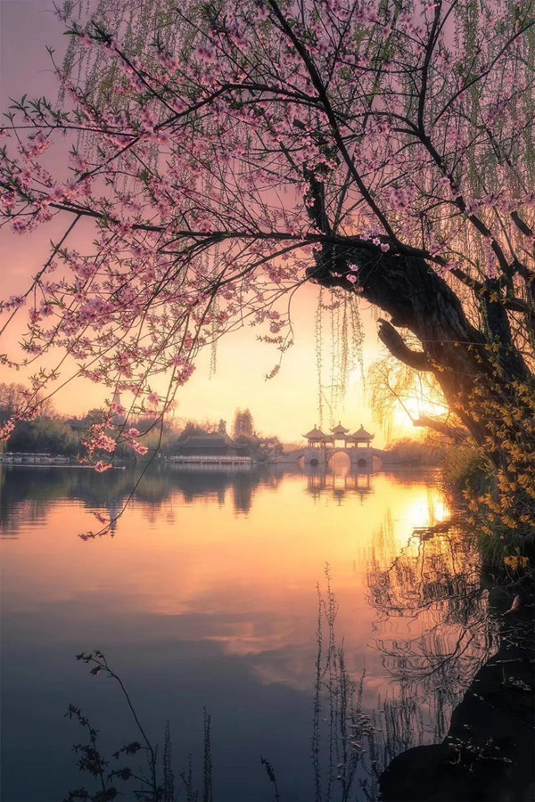 美景 倒映河中, 摇橹划开,层层涟漪 小桥流水人家 闪烁出无限意境之美