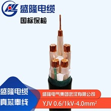 厂家批发国标铜芯电缆线盛隆电缆YJV4.0平方低压电力电缆