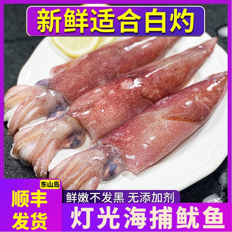 【400g/盒】东山岛新鲜小管鱿鱼活冻鱿鱼仔章鱼海兔子火箭鱿鱼筒