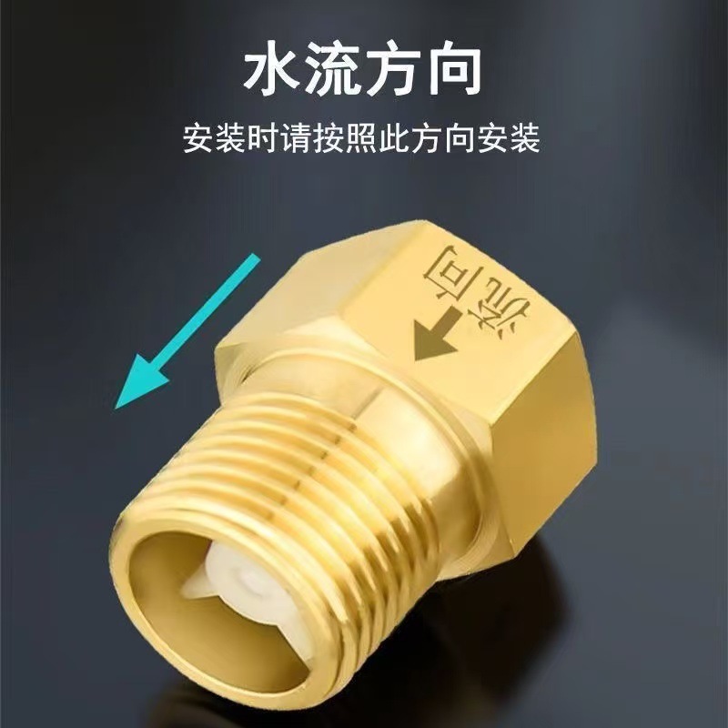 马桶止回阀止逆阀防回流4分单向止回阀卫生间拒不喝马桶水倒流阀