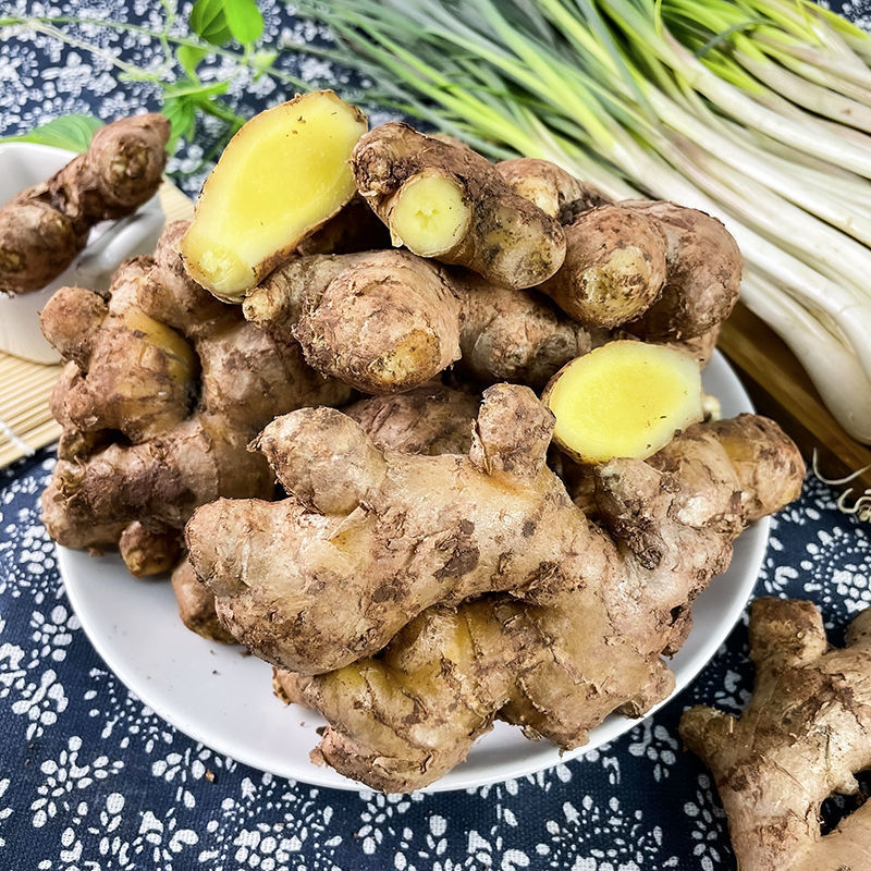 四川老姜中黄姜生姜新鲜蔬菜子姜嫩姜老姜土姜辣味足烹饪调味料