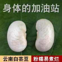 云南大白芸豆1000克肾腰豆云豆种子大白豆白扁豆杂粮嚼阻断膳食纤