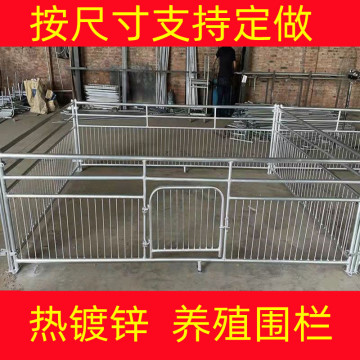 产床配件落地双体养猪场围栏育肥保育养殖栏母猪限位栏定位设备