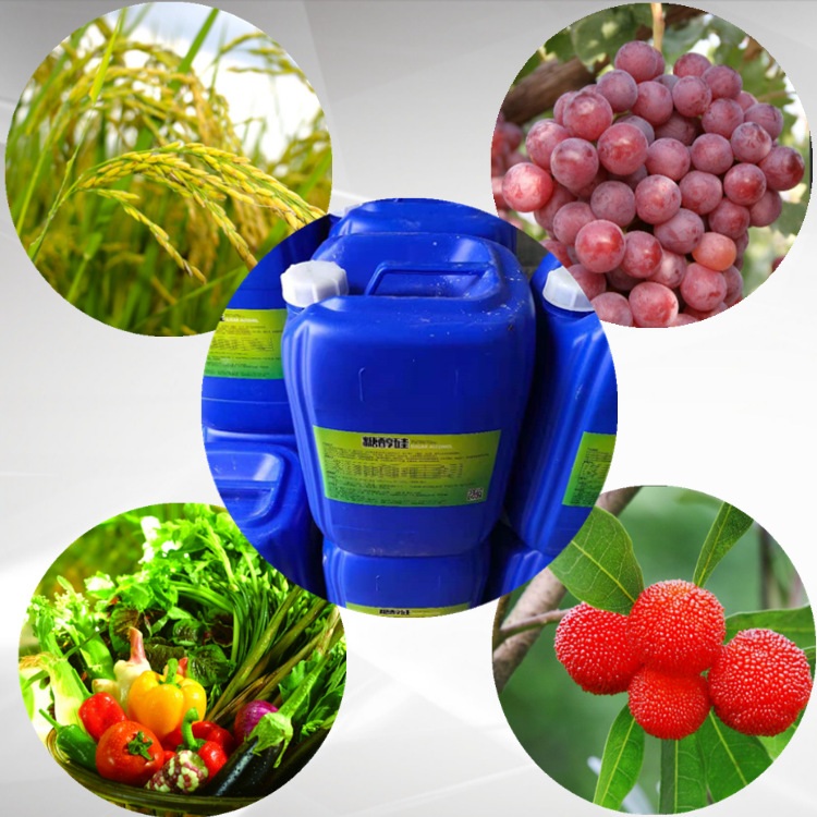 糖醇硅 液体硅肥微量元素硅肥 叶面硅肥 全水溶硅肥