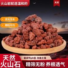 火山石颗粒多肉兰花专用颗粒土植料铺面石鱼缸底砂滤材红色火山岩