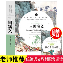 语文名师精评 三国演义 中国古典文学四大名著 考点专练文学丛书