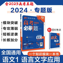 2024版高考必刷题通用版高二三专题突破训练理想树含2023年真题