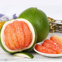 新品种泰国红宝石柚子树苗越南青柚暹罗红柚三红蜜泰国青皮红心柚