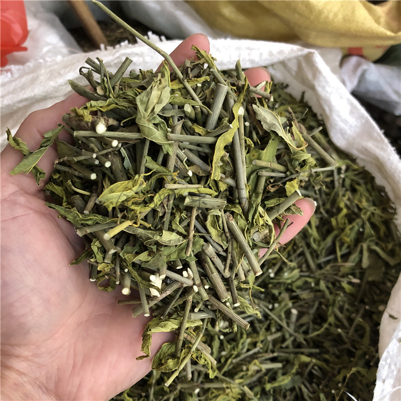忧遁草中药材优盾草优遁草 黎王草鳄嘴花 优顿草茶干货