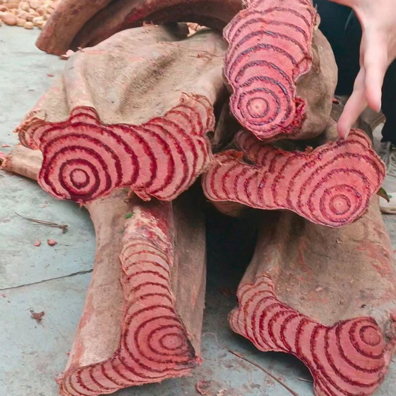 鸡血藤广西深山新鲜野生大血藤干货中药材泡水新疆西藏专链