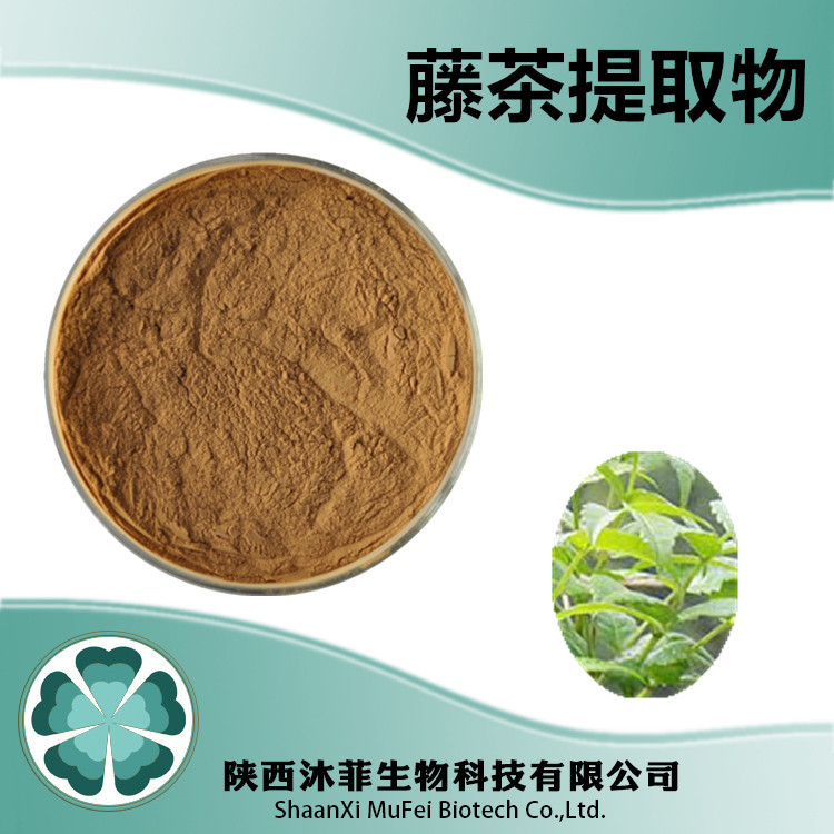 藤茶提取物藤茶粉沐菲生物现货供应现货销售藤茶提取物