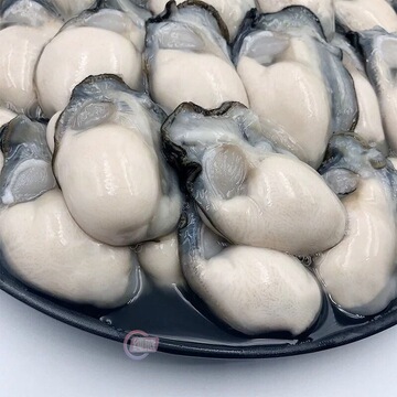 高品质新鲜生蚝肉鲜活现剥去壳海鲜即食原浆海蛎子牡蛎肉跨境电商