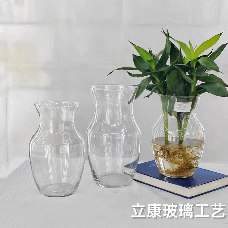Factory Direct Sales Simple Transparent Glass Vase Flowers Dried Flowers Lucky Bamboo Hydroponic Creative Desktop Flower Arrangement Vase