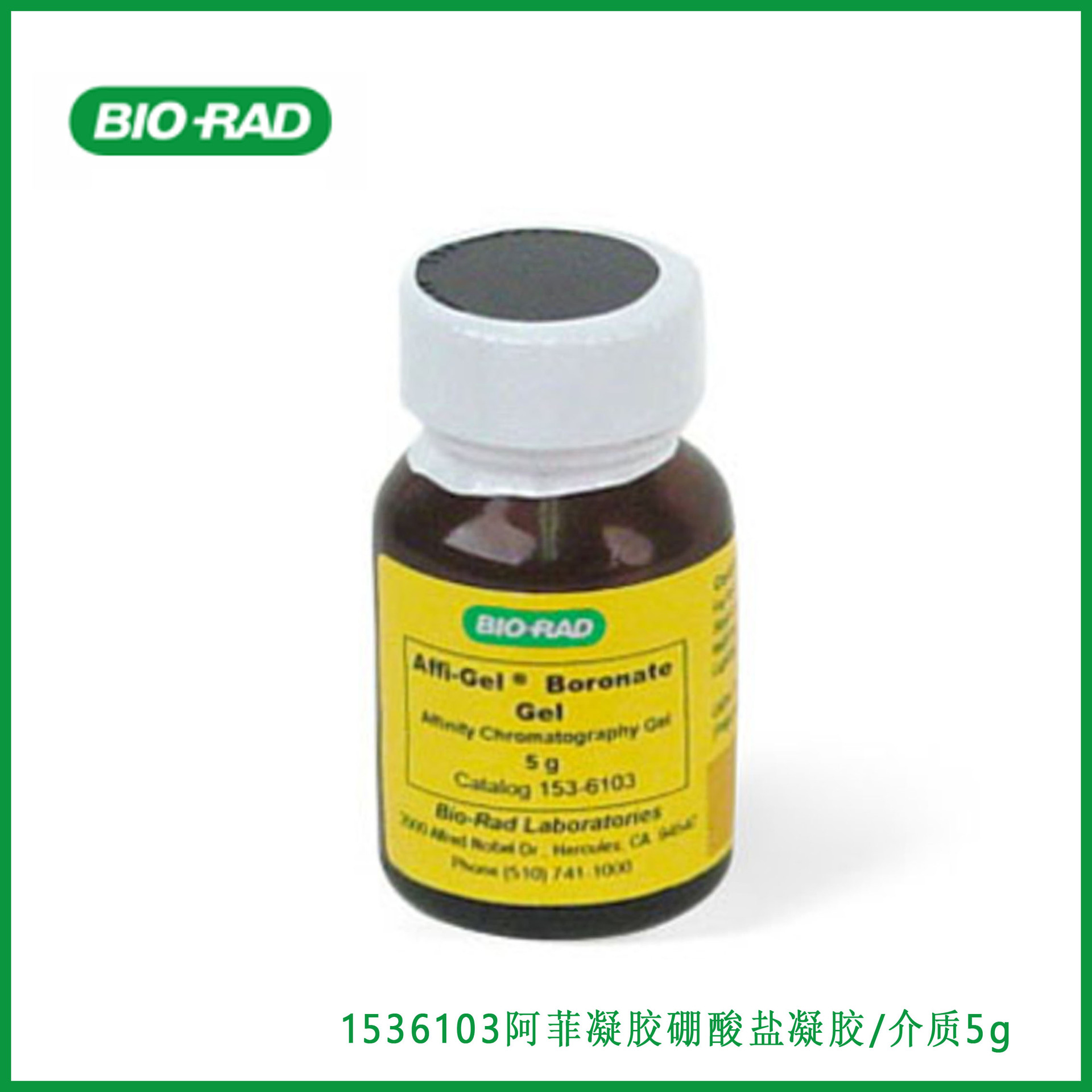 伯乐bio-rad 1536103 阿菲凝胶硼酸盐凝胶/介质 5g-阿里巴巴