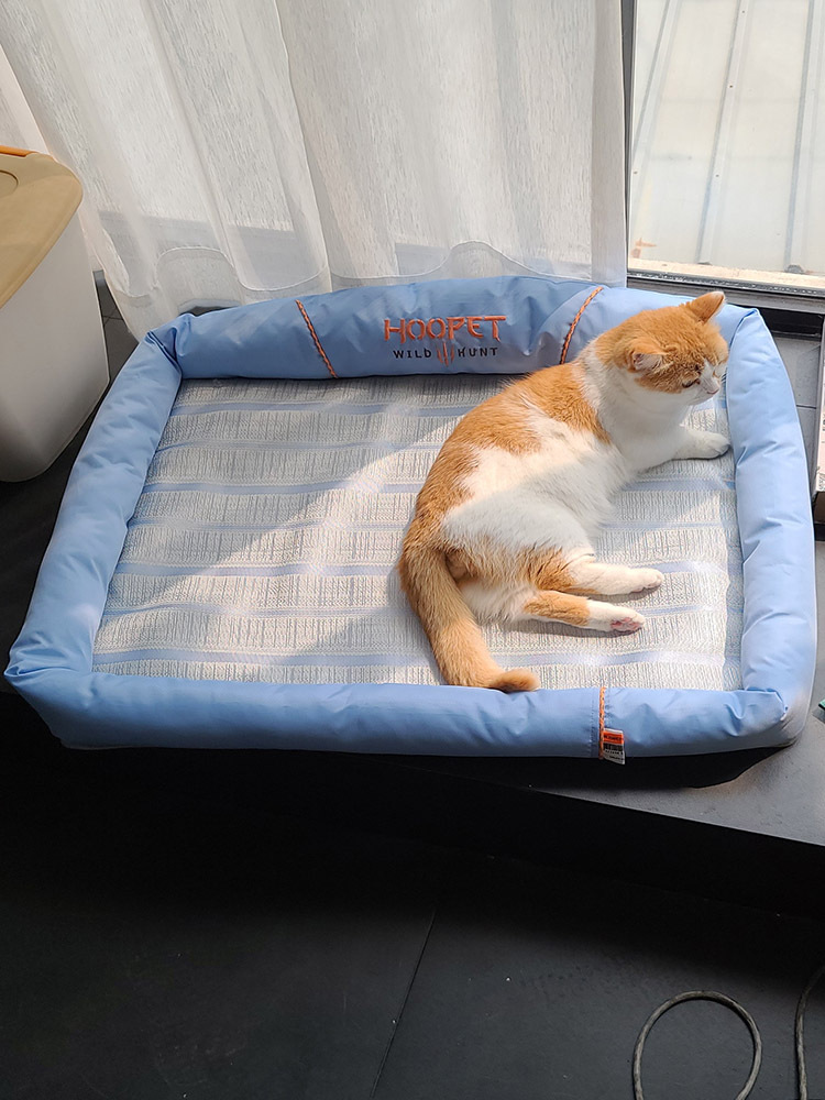 华元猫窝四季通用夏季睡觉猫垫子幼猫用品夏天凉窝猫咪床宠物床