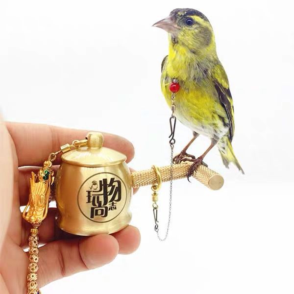 黄雀秀眼鸟脖套鹦鹉项圈训鸟珍珠七彩文鸟栓链子燕雀芙蓉玉鸟脖套