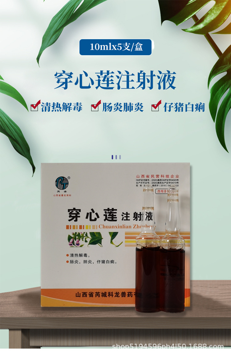 兽药穿心莲注射液猪牛羊清热解毒肠炎肺炎仔猪白痢