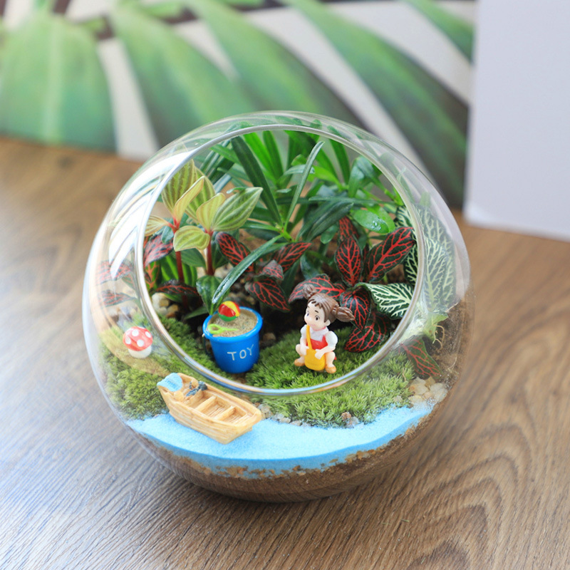 微景观苔藓生态瓶奇趣植物创意办公室diy材料包迷你玻璃盆栽礼物